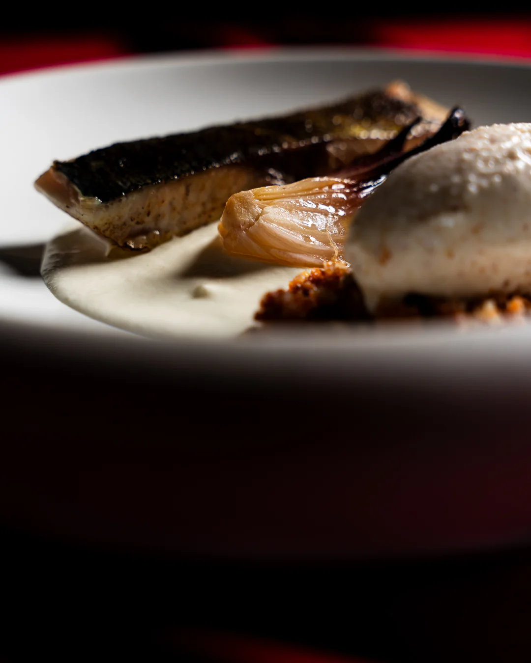 Dettaglio della lampuga scottata con cipolla arrosto e gelato al pane